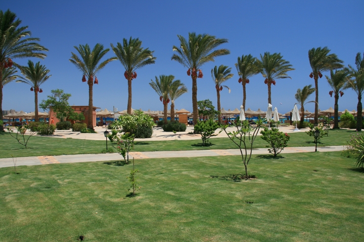 Vakantie Egypte 2010-69.jpg